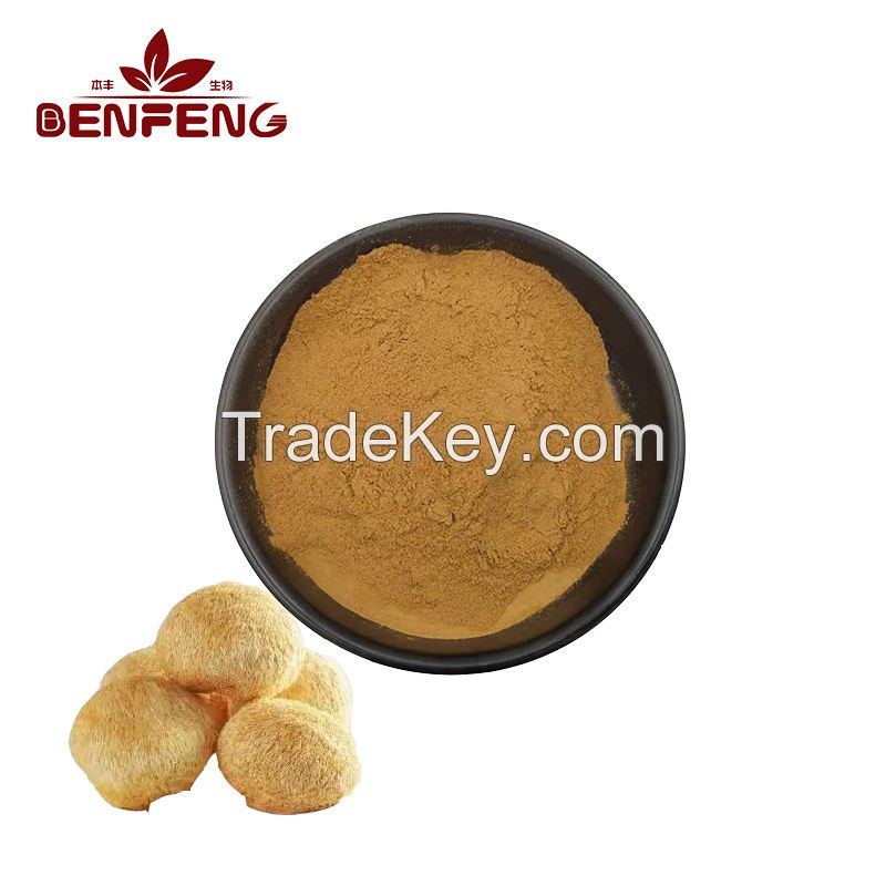 ISO Certification Organic Lion's Mane Mushroom Extract Powder 10:1 Hericium Erinaceus Extract