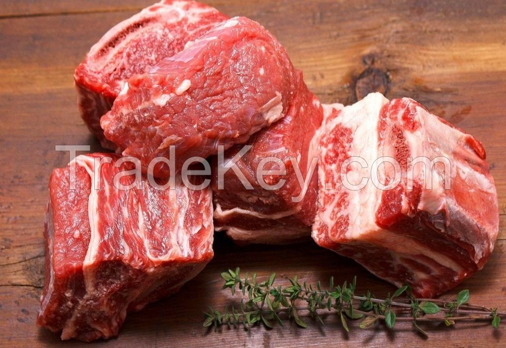 Frozen Halal Beef boneless meat from Europe