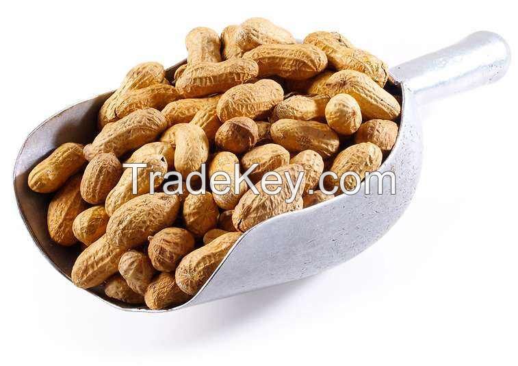 best-selling no additives natural color peanuts organic packing in sack for sale roasted peanuts