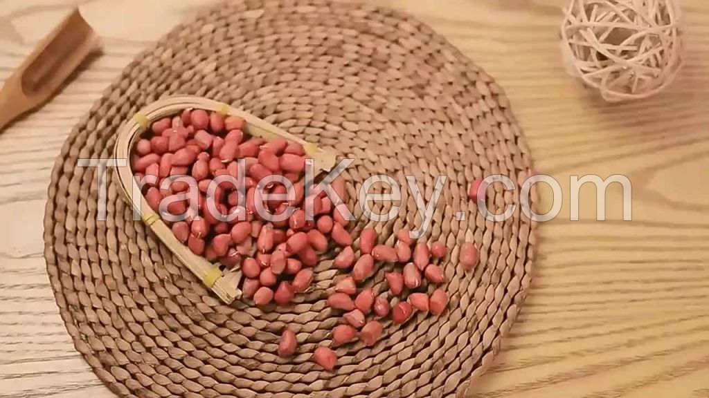 food crispy nuts snacks flour coated roasted peanuts  sa best-selling bulk order blanched dried peanut kernels raw