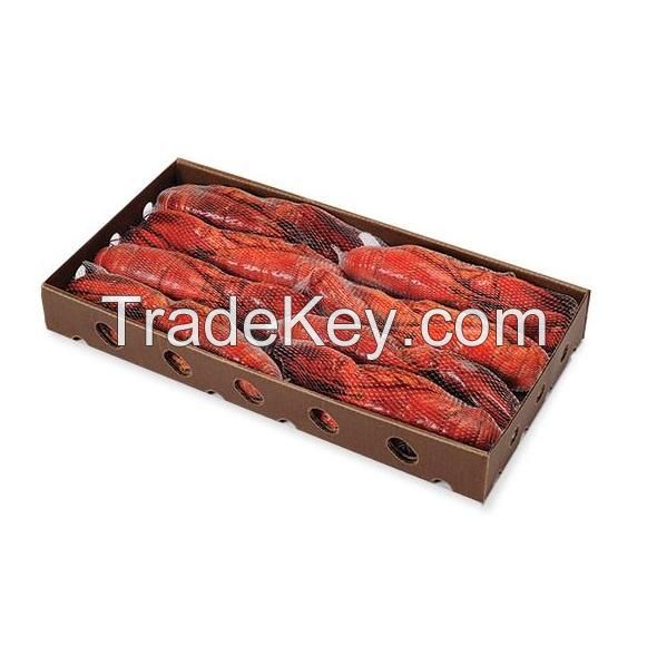 Hot Selling Frozen Lobster, Frozen Lobster Tails Fresh Live Lobsters, Canadian Bulk Style Packaging Lobsters