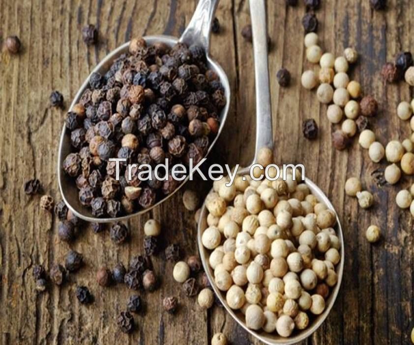 black pepper seeds for sale black pepper 550gl/ 500gl bulk black pepper dried spice from south Africa with cheap price for sale