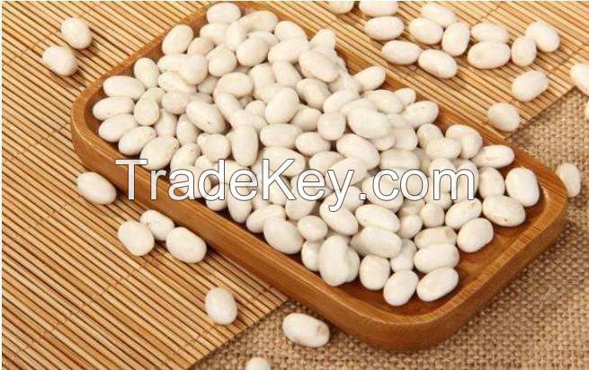 wholesale high quality dry long white kidney beans packing organic green mung bean red black max bulk style