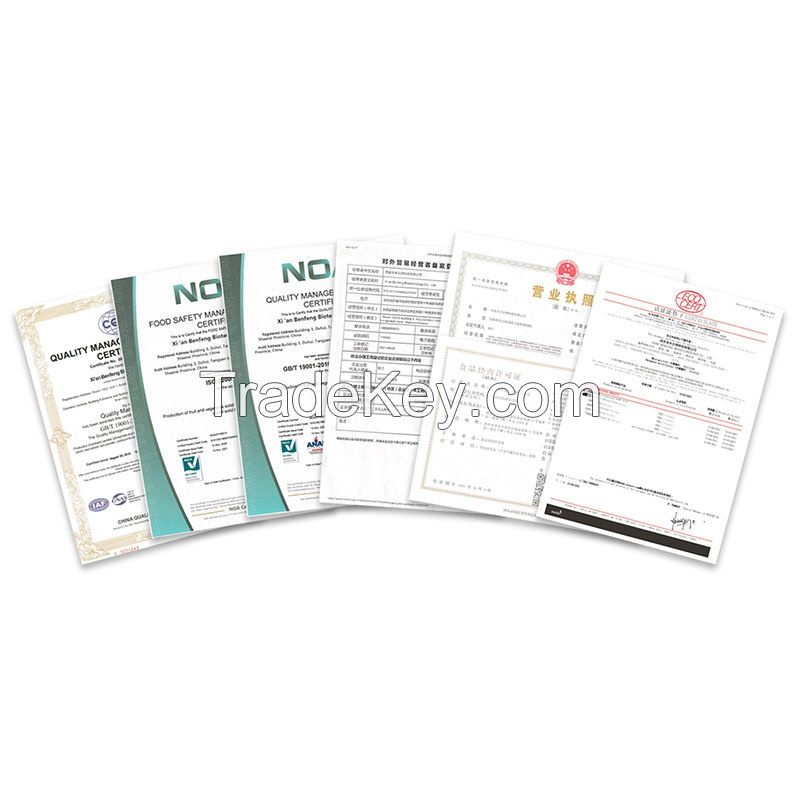 ISO Certificated Bulk Garlic Extract Powder Organic Garlic Powder