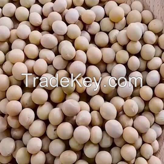 Soy Beans Wholesale IQF Green Frozen Sweet Style Brands Color soybeans non gmo yellow soybean soya bean seed