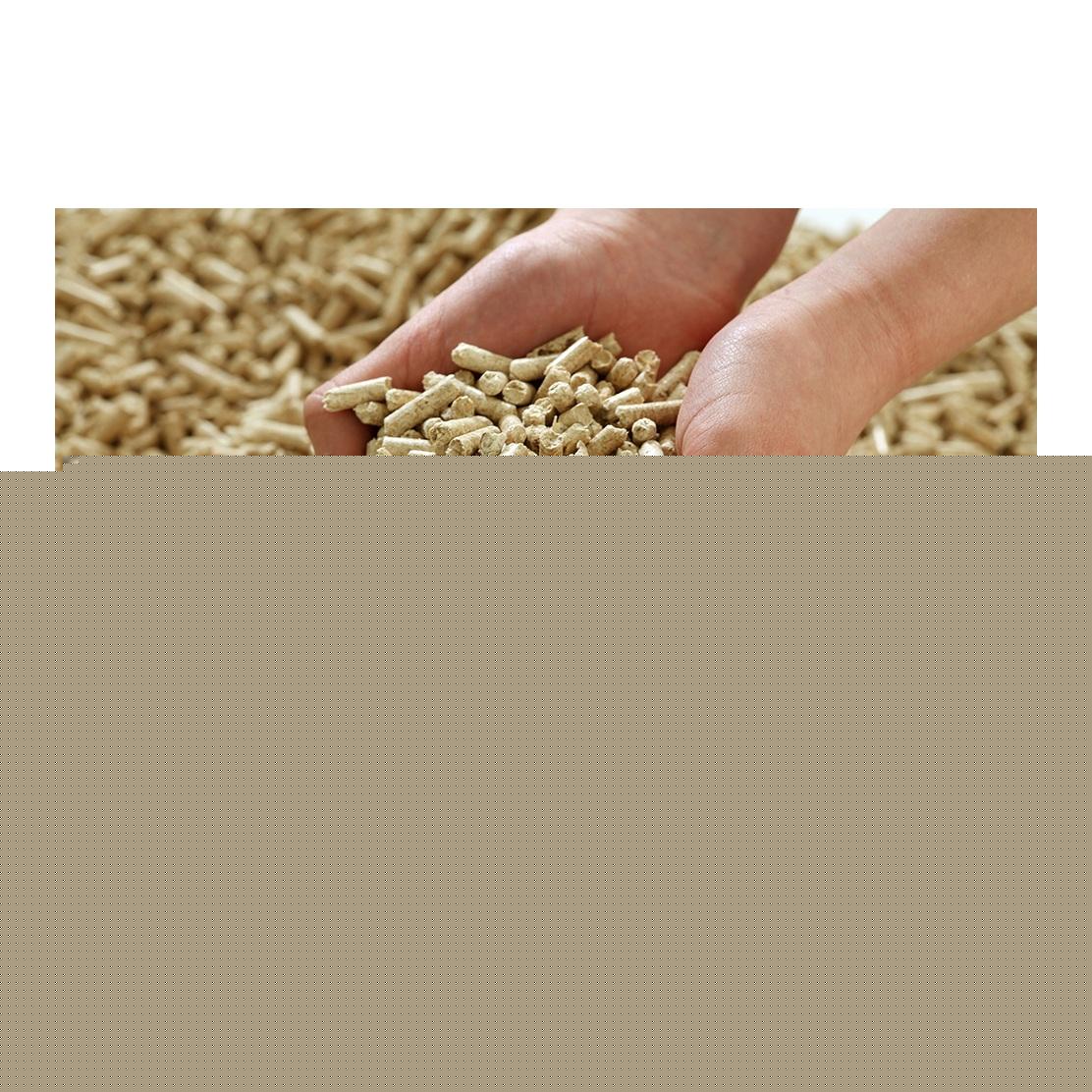 High Quality Wood Pellets With Competitive Price From Viet Nam