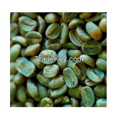 High Quality Competitive Price Products Arabica Green Coffee Bean WIth 12 Months Shelf Life