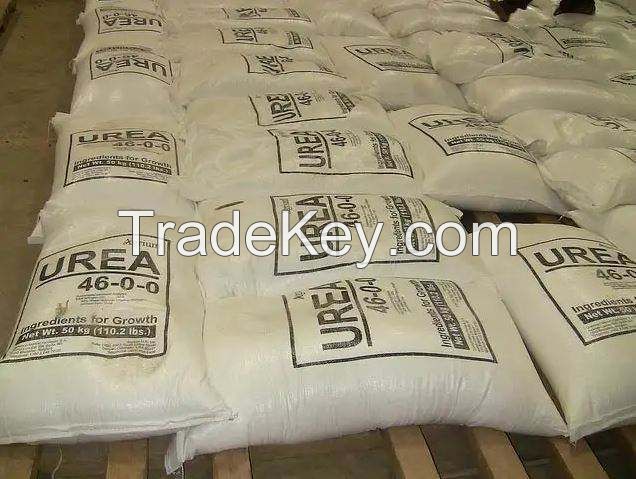 wholesale high quality dry long white kidney beans packing organic green mung bean red black max bulk style