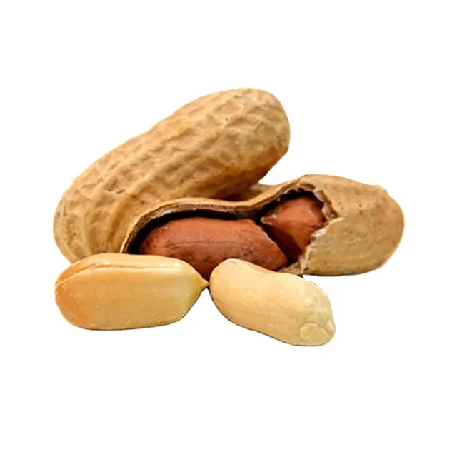 100% natural color rich nutrition peanuts export packing boxes Iqf frozen bulk style time storage packaging food peanut