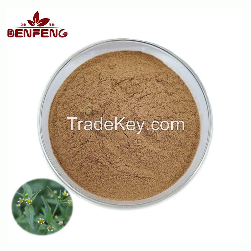 ISO High Quality Fadogia Agrestis Stem Powder Pure Natural Fadogia Agrestis Extract Powder