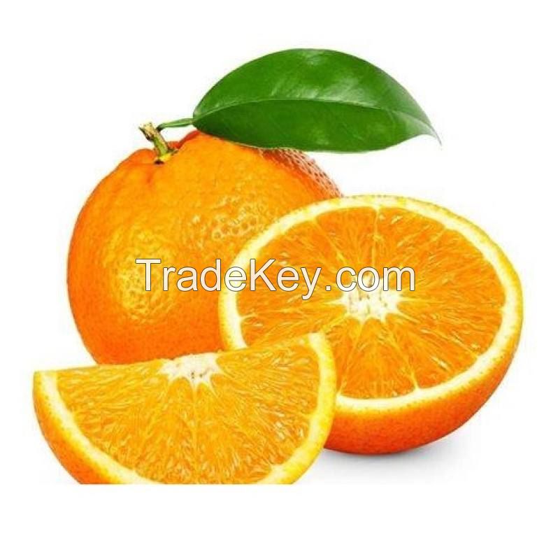 wholesale price citrus orange fresh best selling fresh citrus fruit canned oranges sweet style storage packing mandarin oranges