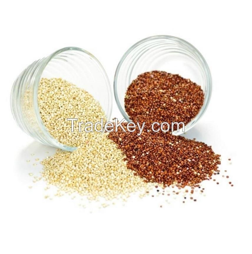 Best Price Organic Seeds White Quinoa Grains Health care Grains Bulk Stock Available With Customized Packing