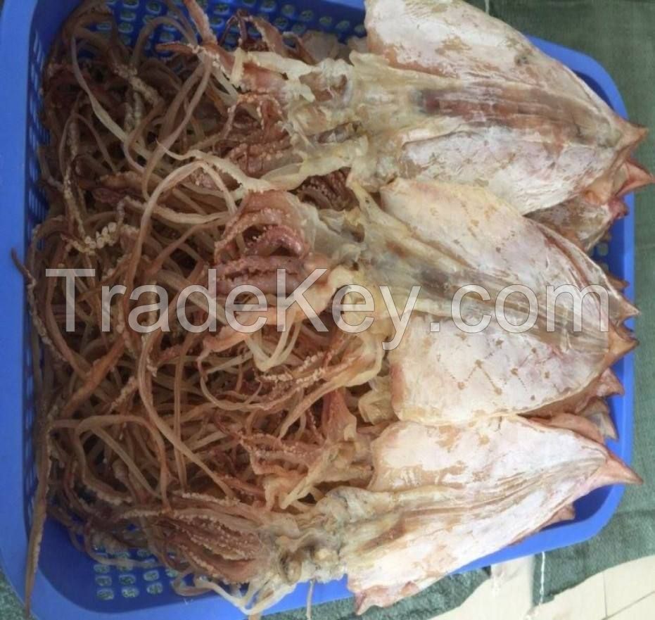new arrival high quality frozen red squid loligo bulk style packaging color feature weightsouth africa skin on dried whole squid