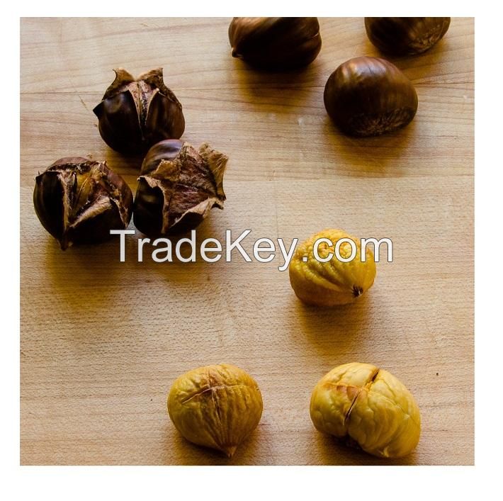 100% Top quality fresh chestnuts/organic chesnuts for Export