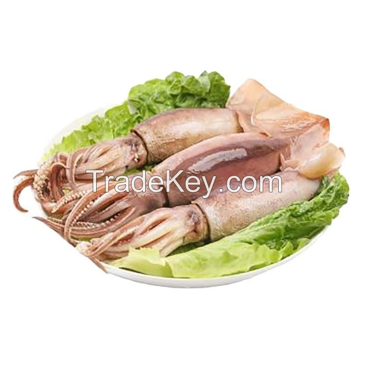 high quality fresh frozen baby squid new arrival high quality frozen red squid loligo bulk style packaging color feature squid