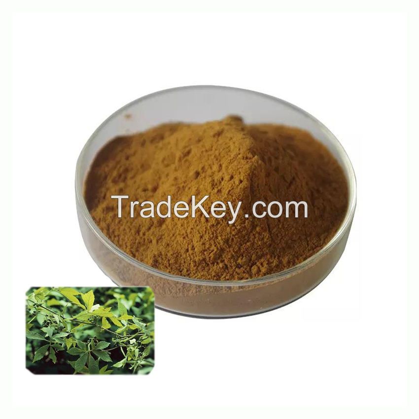 Supply Bulk Jiaogulan Leaf Gypenosides 20-98% Gynostemma Pentaphyllum Extract