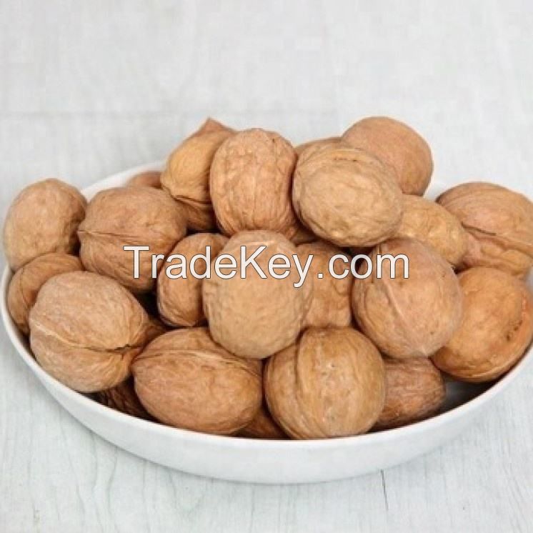 south africa top quality whole dry fruit walnut with Shell and shelled for sale 21crop raw walnut kernels extra light walnut