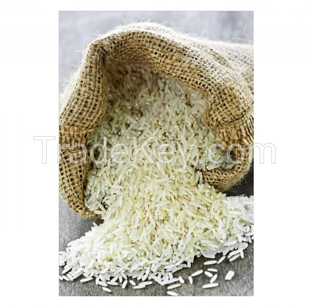 Wholesale Price Supplier of Long grain white rice 5% broken Bulk Stock With Fast Shipping