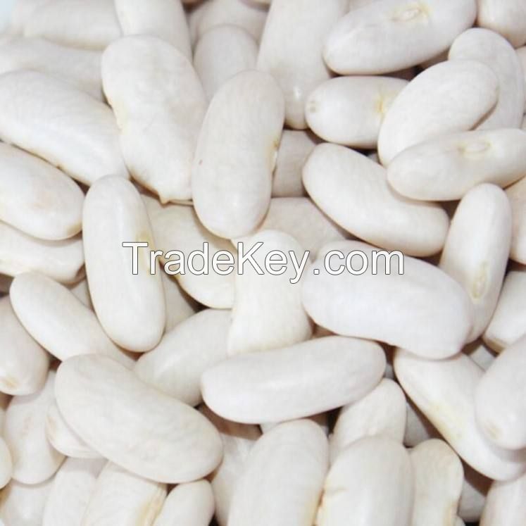 wholesale high quality dry long white kidney beans packing organic green mung bean red black max bulk style