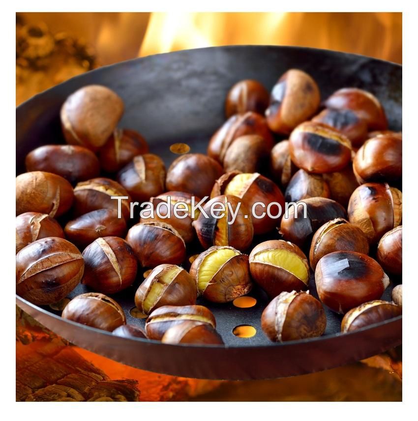 100% Top quality fresh chestnuts/organic chesnuts for Export