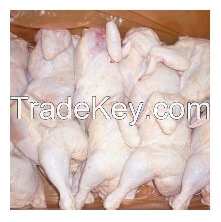 Frozen Halal Whole Chicken and chicken parts