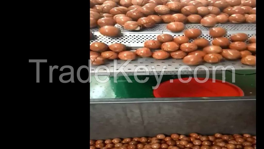 Macadamia Nuts Raw Organic Chinese Bags TOP Shell raw roasted macadamia nut kernel for food consumption macadamia nuts