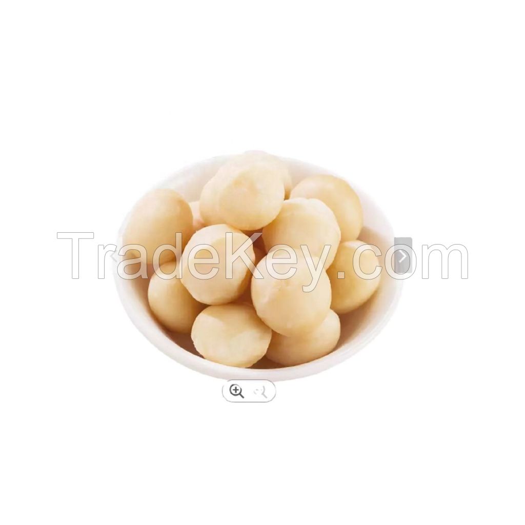 Macadamia Nuts Raw Organic Chinese Bags TOP Shell raw roasted macadamia nut kernel for food consumption macadamia nuts