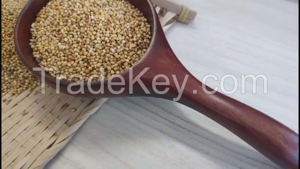 high quality quinoa with small white grain about the size of millet for sale white quinoa red black quinoa