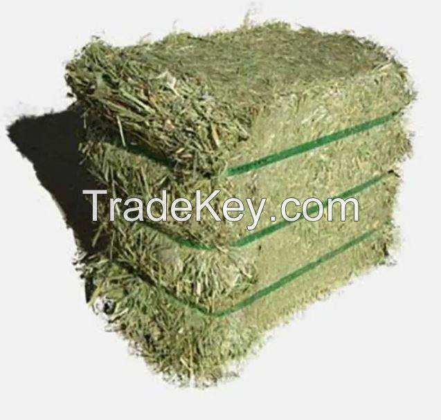 Bulk Supply Quality Animal Feed Alfalfa Hay Bale and Pellets Wholesale