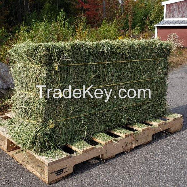 Top Grade Alfalfa Hay Bale and Pellets Wholesale Bulk Supply Quality Animal Feed