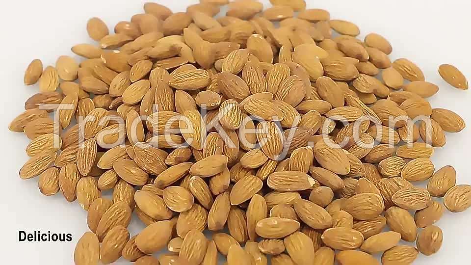 unshelled and roasted almonds seasoned bag box style rich nutrition delicious almond wholesale price