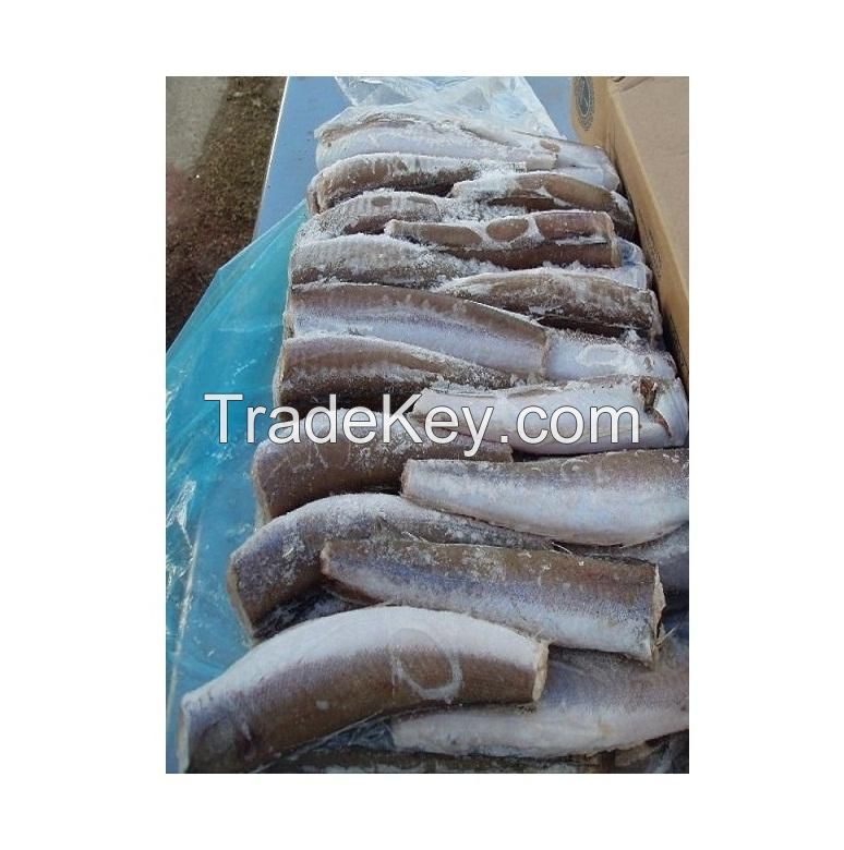 Fresh Frozen Hake Whole Fish / Frozen Whole Round Hake Fish for Sale