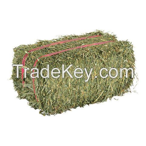 Top Grade Alfalfa Hay Bale and Pellets Wholesale Bulk Supply Quality Animal Feed