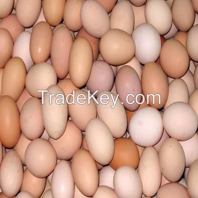 Fresh Chicken Table Eggs/Fresh Chicken Hatching EGGS At Good Prices