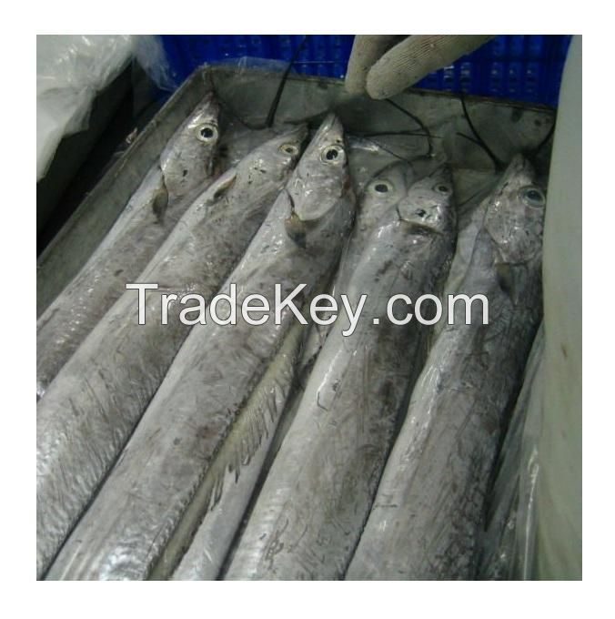 Wholesale Seafood Healthy Food Frozen Ribbon Fish Hairtail Fish Cut