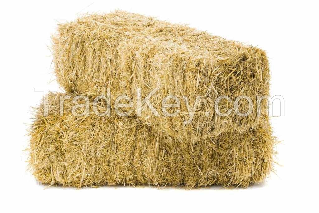 Top Grade Alfalfa Hay Bale and Pellets Wholesale Bulk Supply Quality Animal Feed