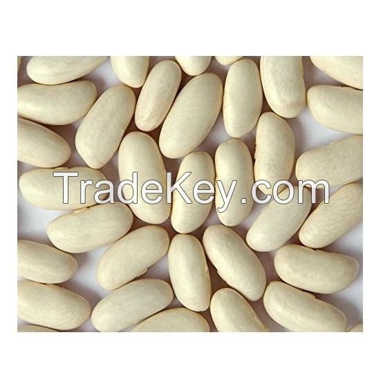 Non-GMO High Grade Natural Bulk Dried Red Bean
