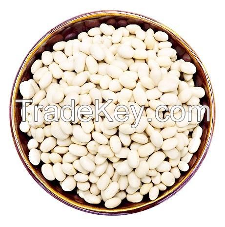 Non-GMO High Grade Natural Bulk Dried Red Bean