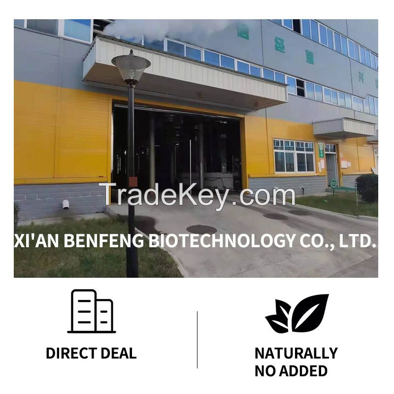 Factory Price Inulin Chicory Root Extract Inulin Powder