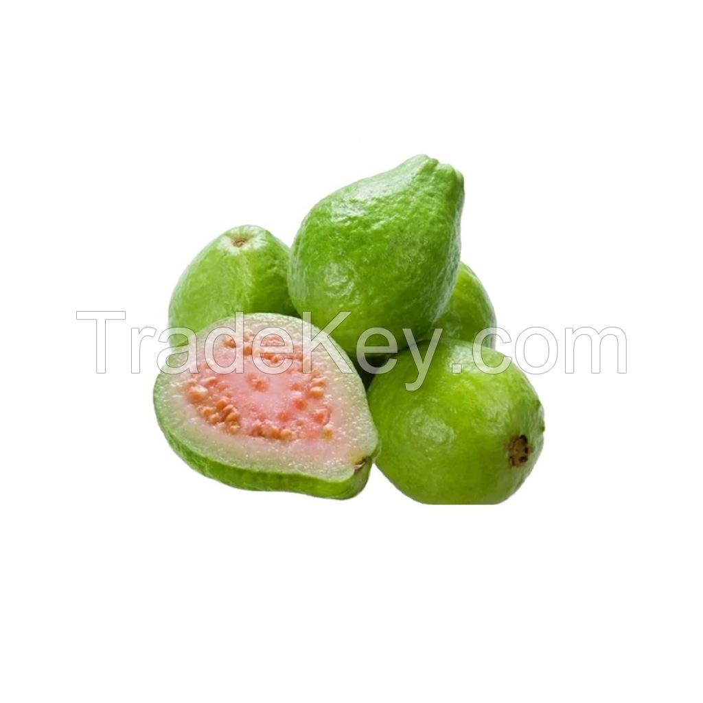 GUAVA Max Bag Green Sweet Style Packsweet fresh guava fruit high quality green max yellow fresh guava fruits