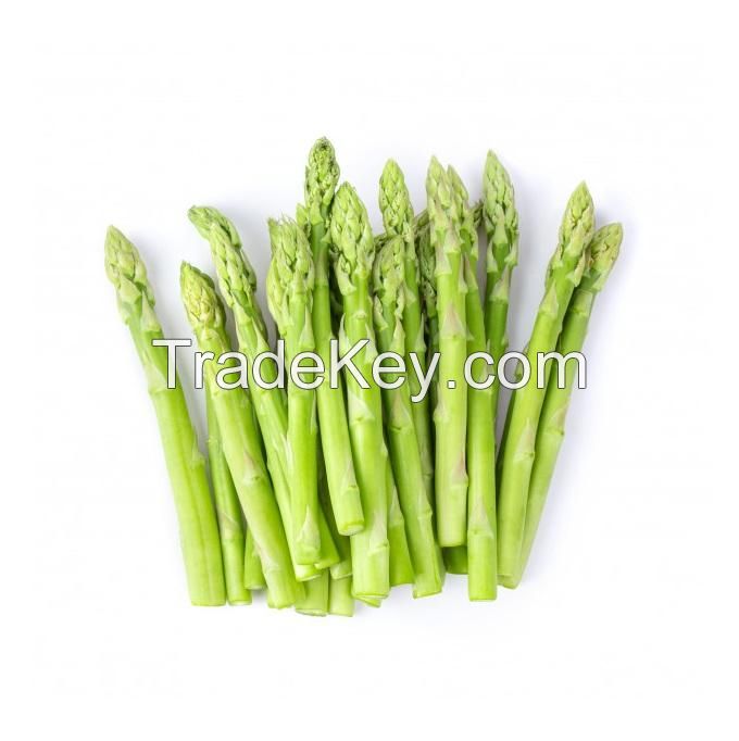 Hot Selling Price Fresh Vegetables Asparagus in Bulk