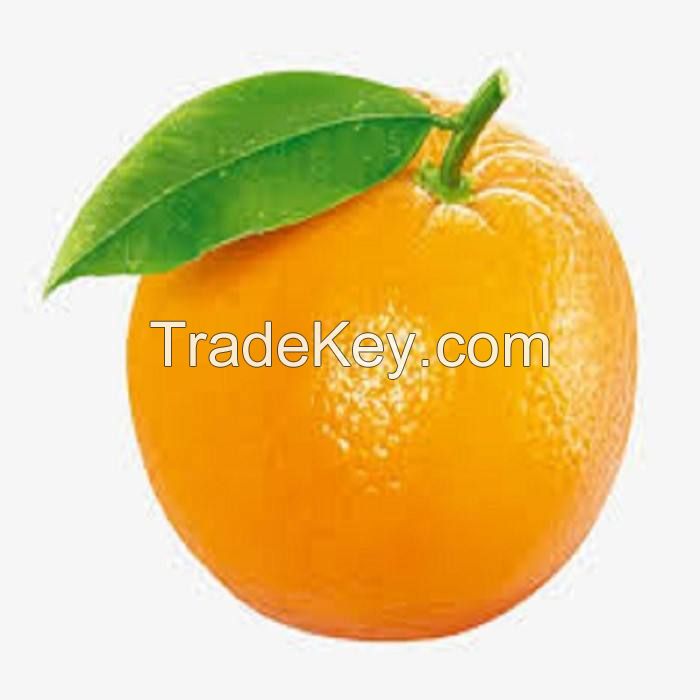 fresh oranges tangerine mandarine yellow style organic color weight origin type lemon grade product from South Africa
