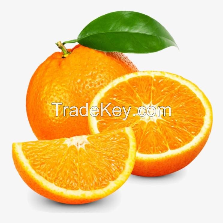 fresh oranges tangerine mandarine yellow style organic color weight origin type lemon grade product from South Africa