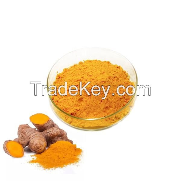 Organic Turmeric Powder Cas No.458-37-7 Specification 95% 98% Wholesale Turmeric Powder