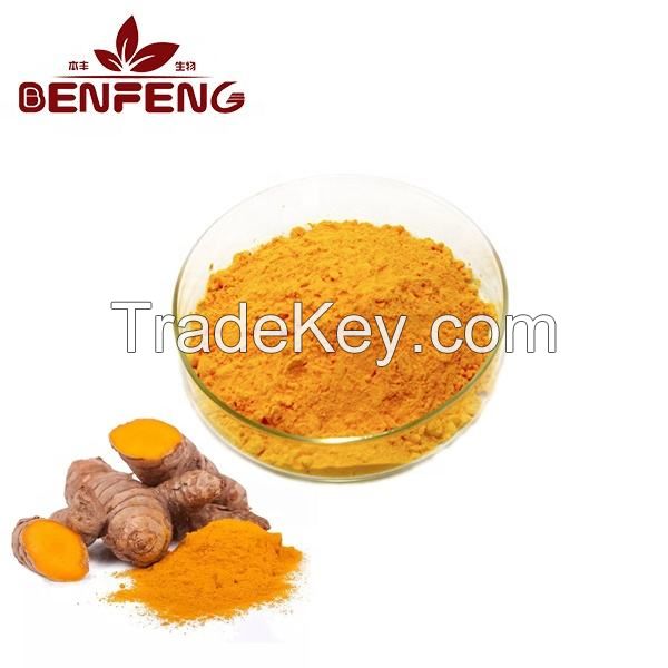 Organic Turmeric Powder Cas No.458-37-7 Specification 95% 98% Wholesale Turmeric Powder