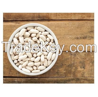 100% Dark Red Kidney Beans New Crop Red Kidney Beans Price