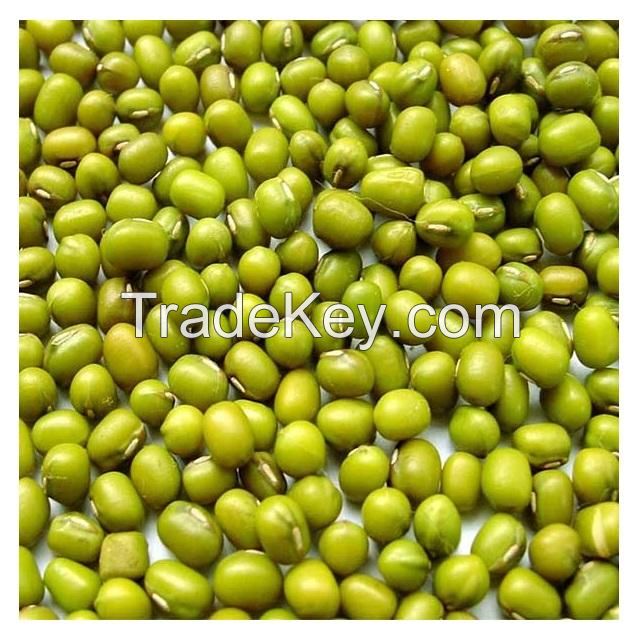 Best Price Green Mung Beans / Whole Moong Beans Bulk Stock Available With Customized Packing