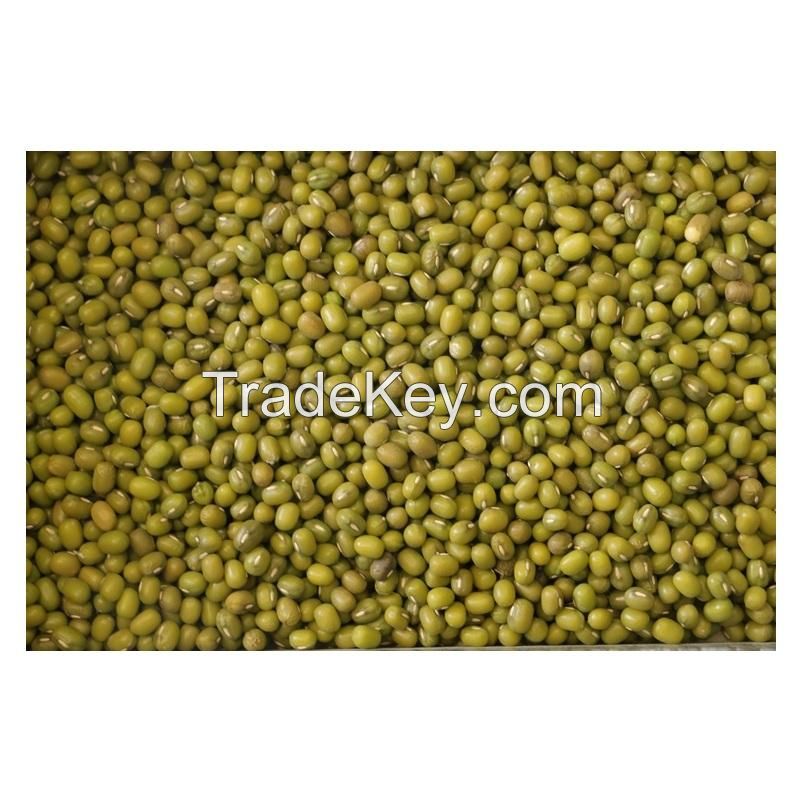 Best Price Green Mung Beans / Whole Moong Beans Bulk Stock Available With Customized Packing
