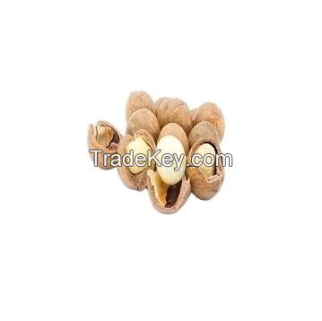 roasted dried macadamia nuts in shell for sale high quality macadamia nuts with shell raw rganic bulk macadamia nuts whole