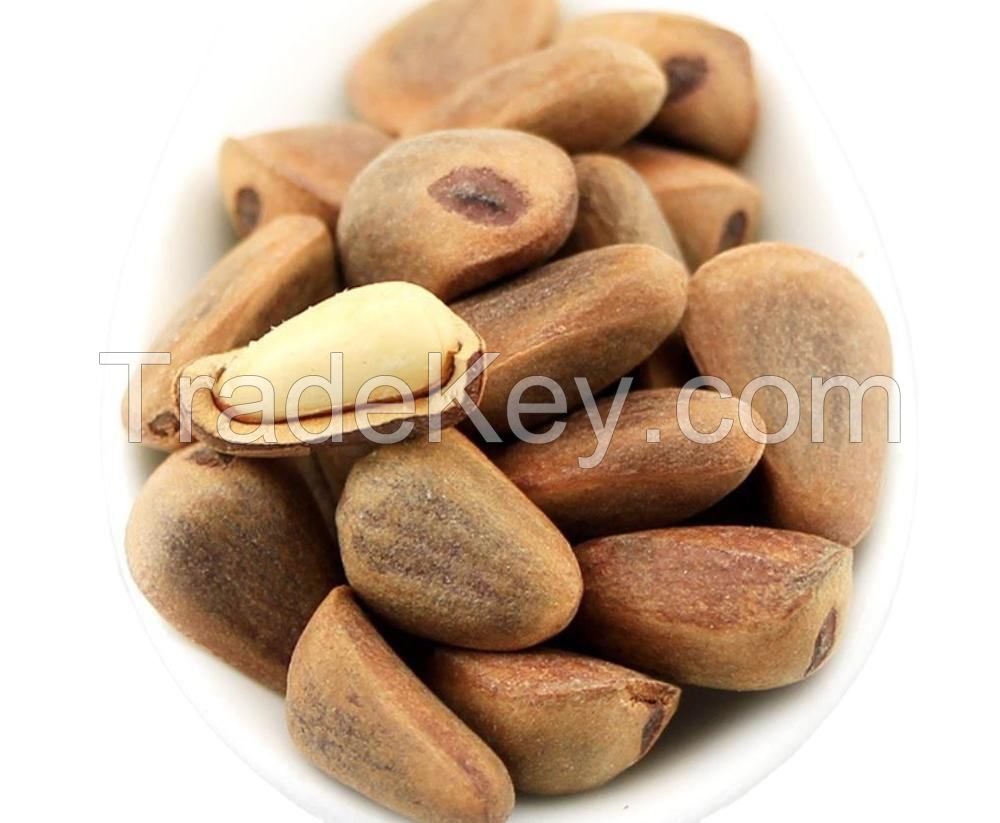 Best Quality Custom Made Wholesale Factory Price Brazil Nuts